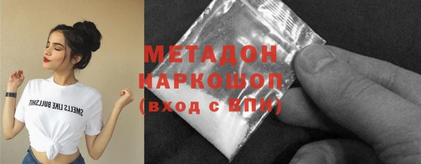 прущие грибы Алзамай