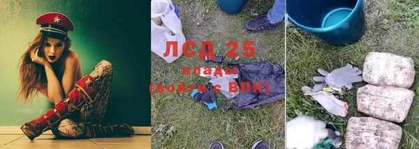 прущие грибы Алзамай