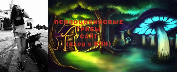 прущие грибы Алзамай
