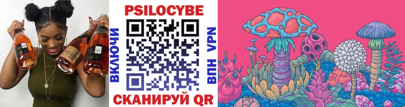 что такое   Владивосток  OMG зеркало  Псилоцибиновые грибы Psilocybe 